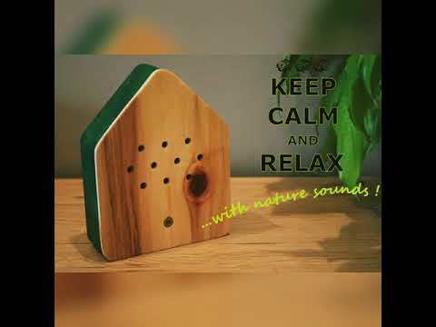 Relaxing Sounds BOX (motion Sensitive, 3D Printed)