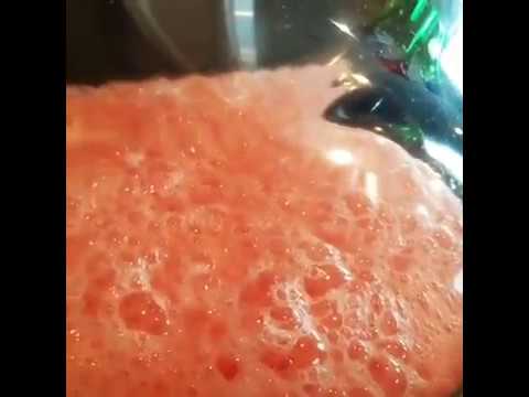 Removing Air from Watermelon Juice Using a Vacuum Chamber