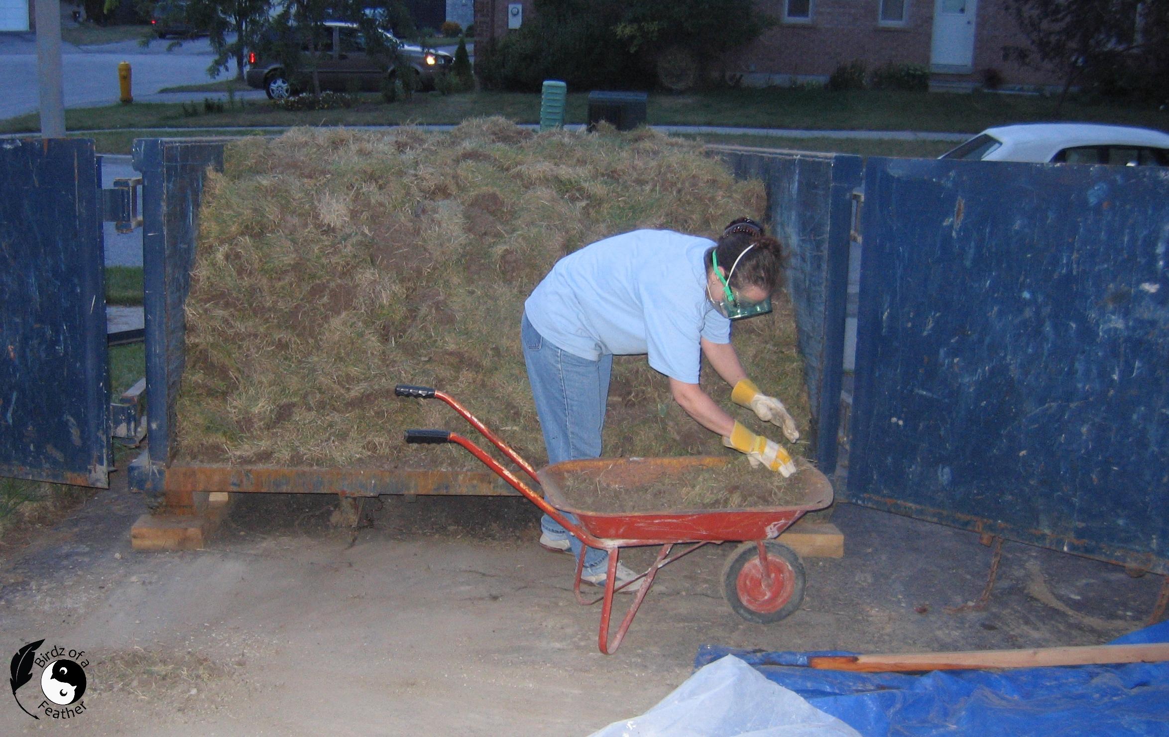 Removing Grass 025.jpg