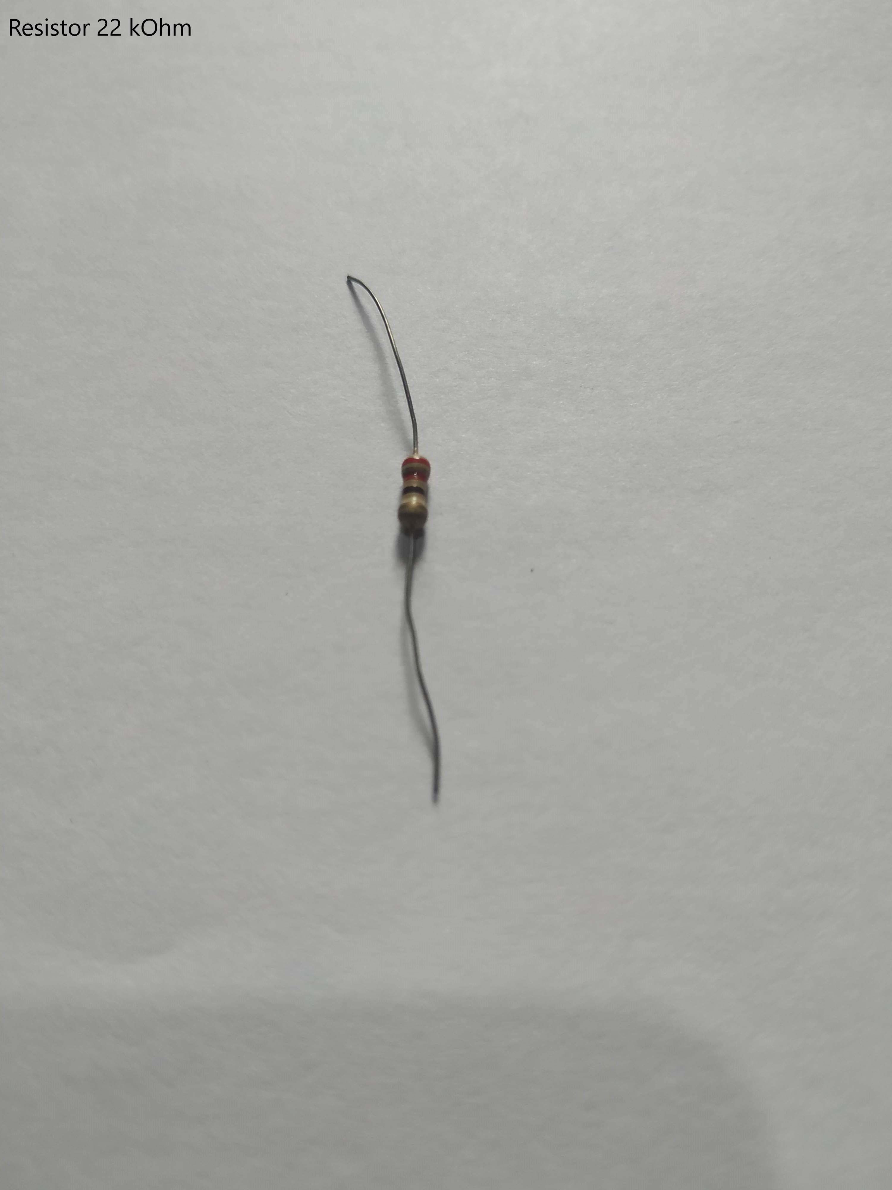 Resistor 22 kOhm.jpg