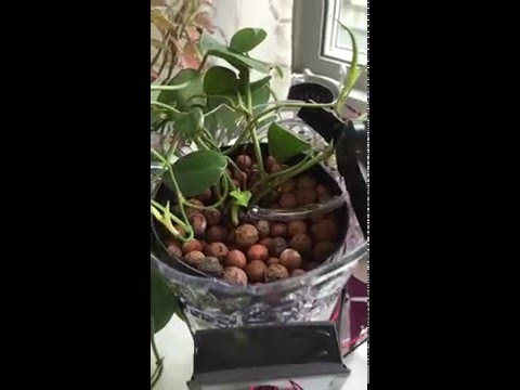 Retrofit Hydroponic Planter