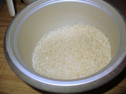 Rice_1_858.jpg