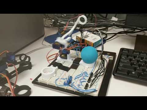 Robot Arm Project - Automated Control