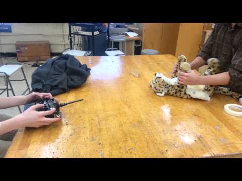 Robot Cheetah Leg Movement Within Skin