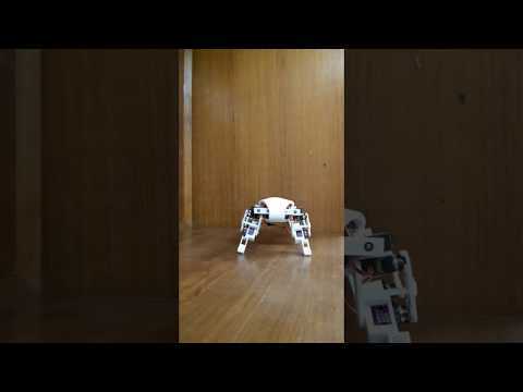 Robot Leo Kick Demo