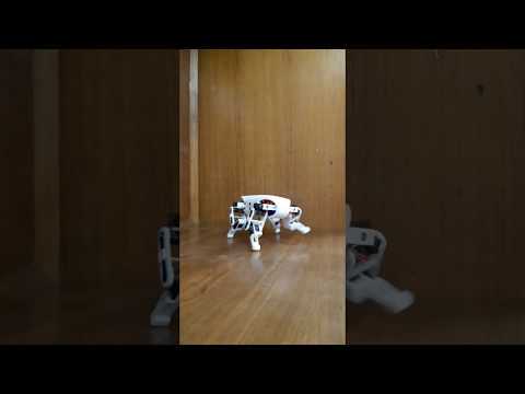 Robot Leo Walks