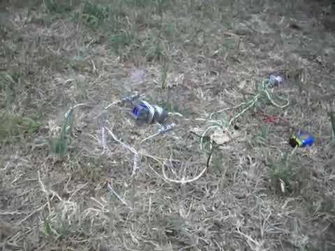 Robotic Bird at 0.5 V - No Cup