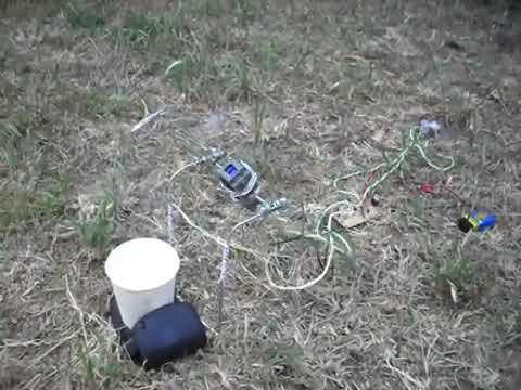 Robotic Bird at 1.5 V - With Cup