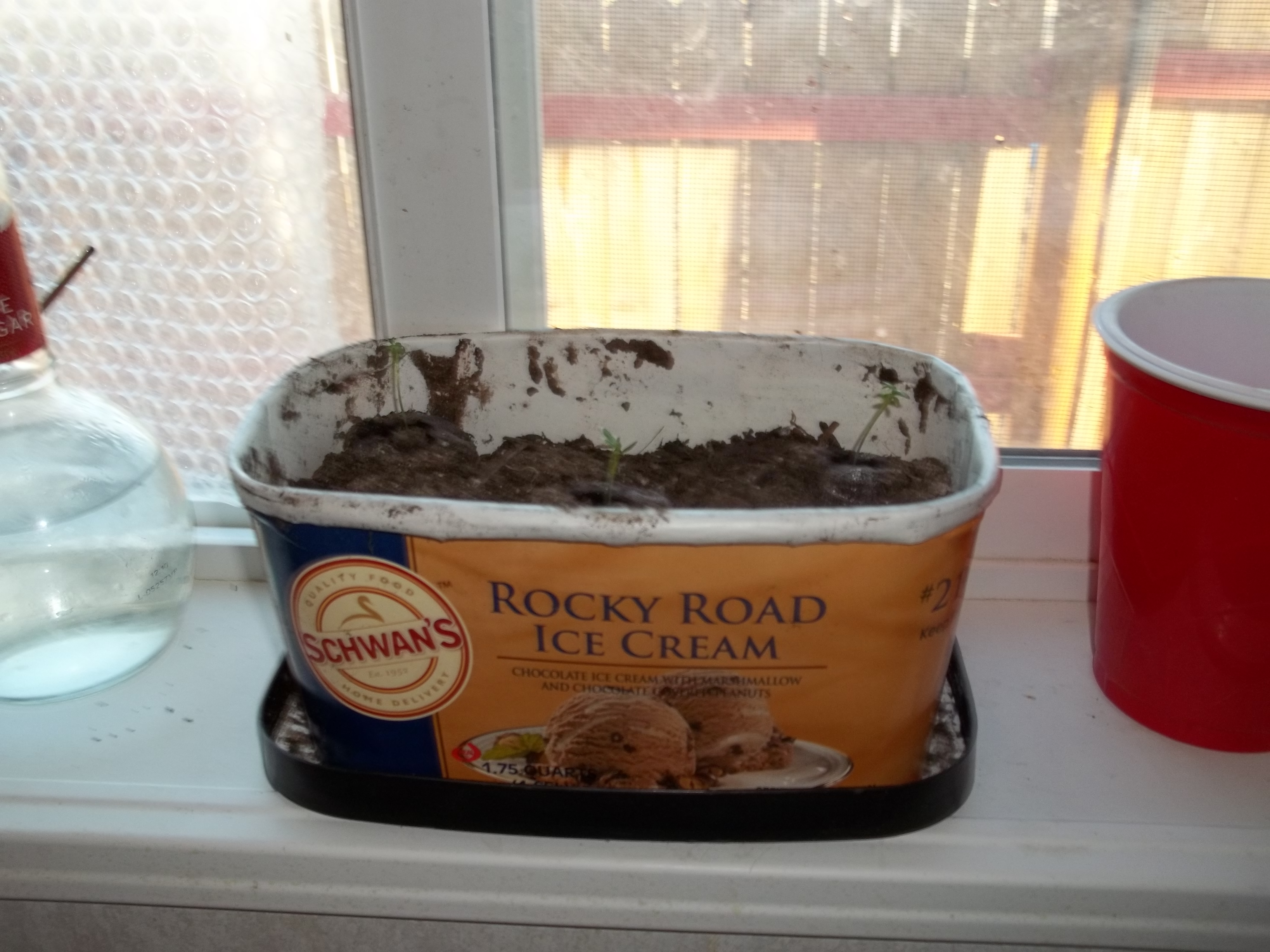 Rocky Road Reuse 007.jpg