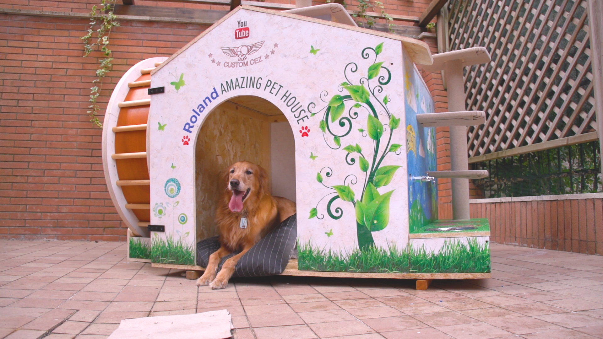 Roland Amazing Pet House - 00.jpg