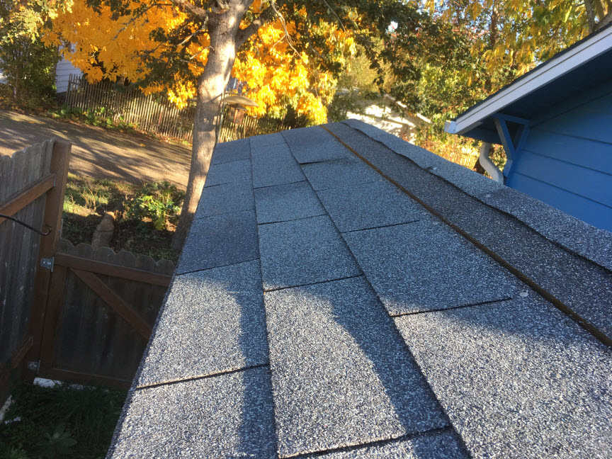 Roof Shingles.JPG