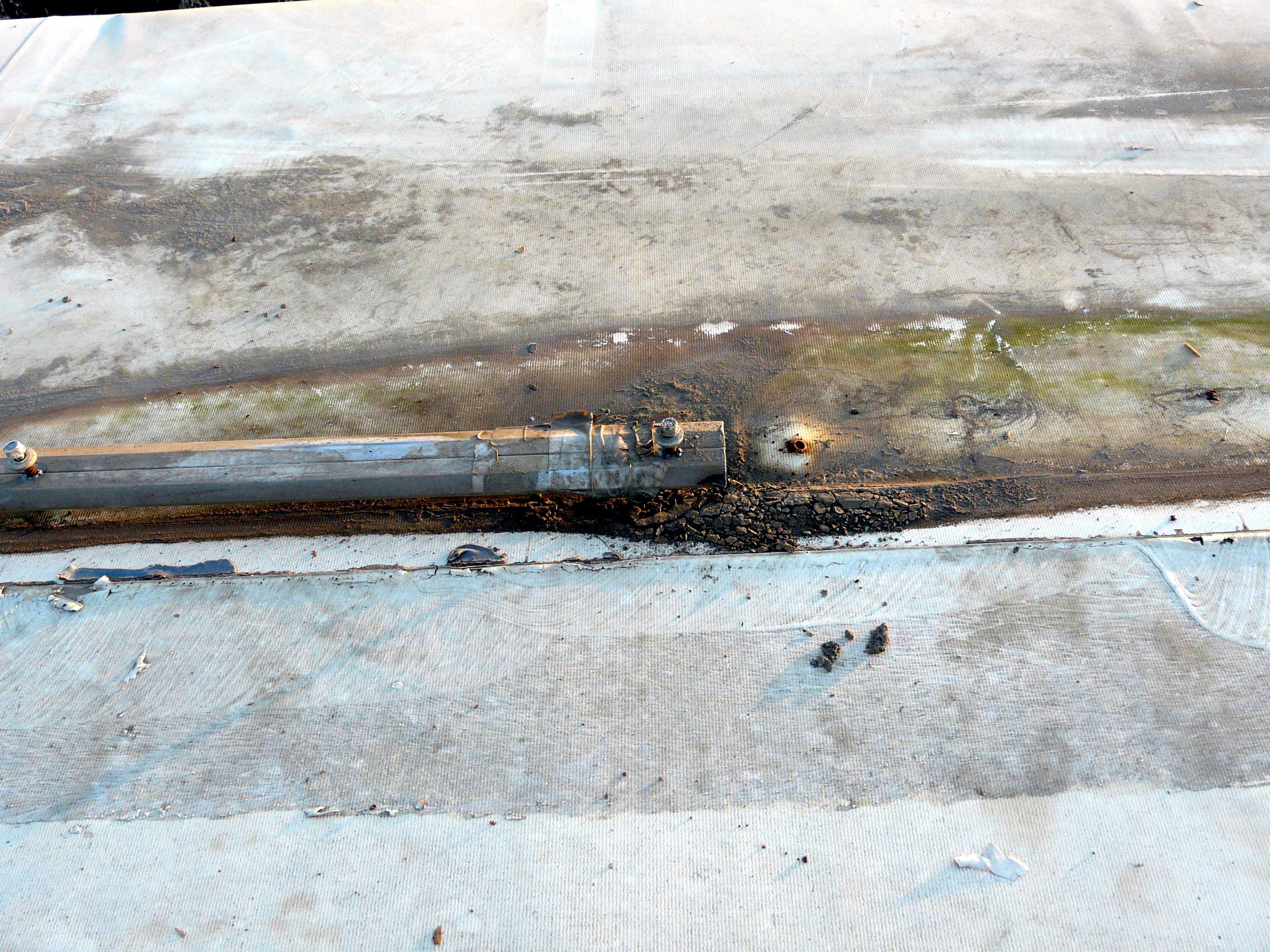 Roof4.jpg