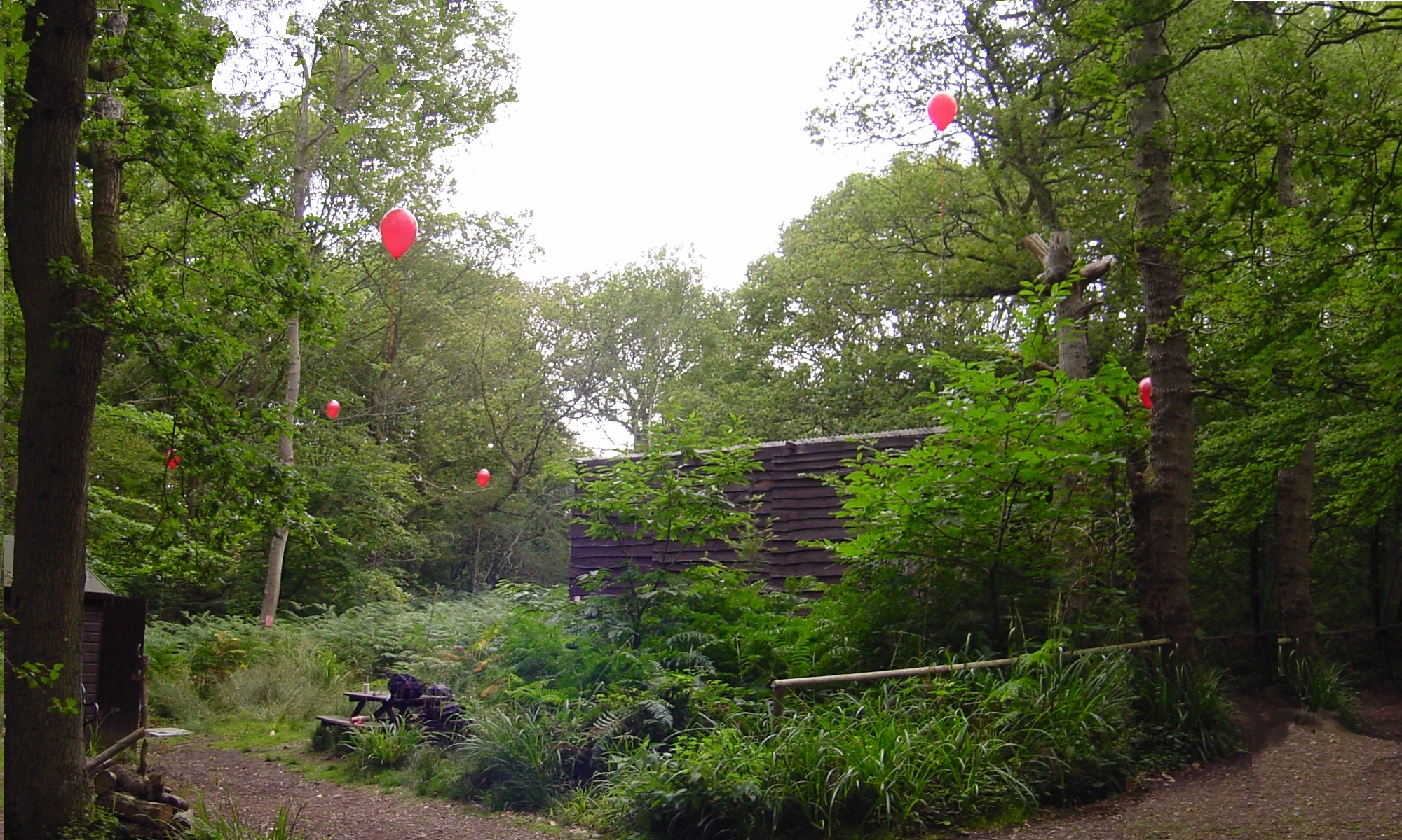 Roofline balloons01.jpg