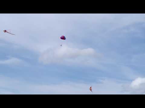 Rotty the Raccoon goes skydiving