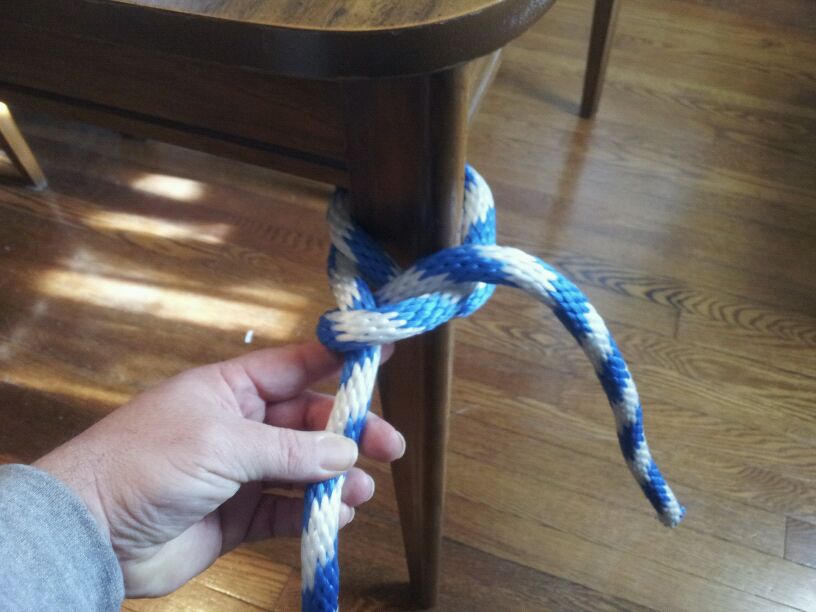 Round-Turn-with-a-Double-Half-Hitch-Knot-Step-3.jpg