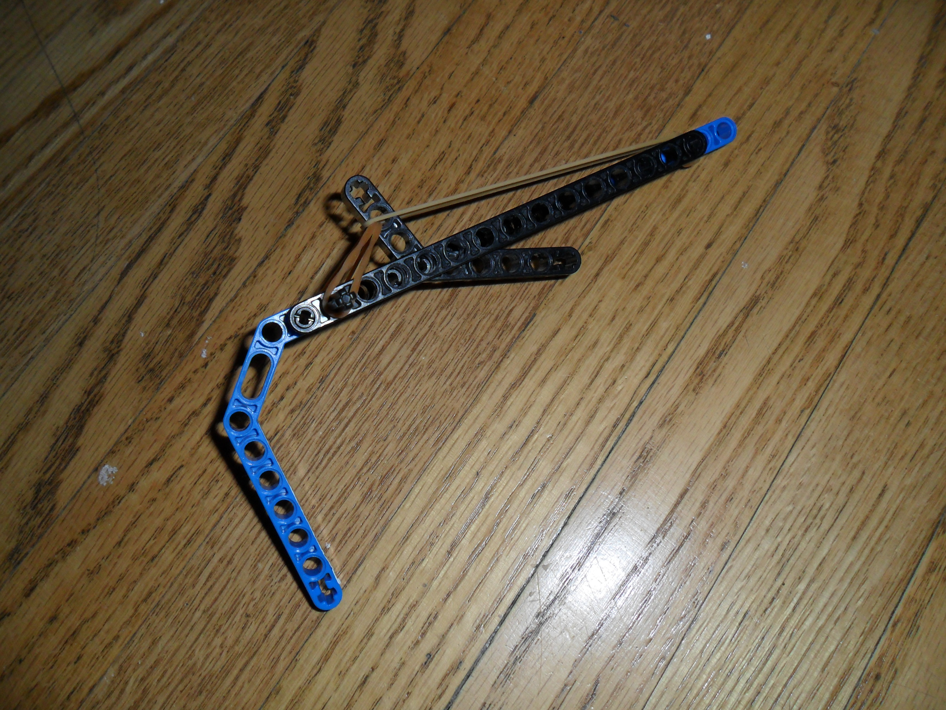 SAM_2554.JPG