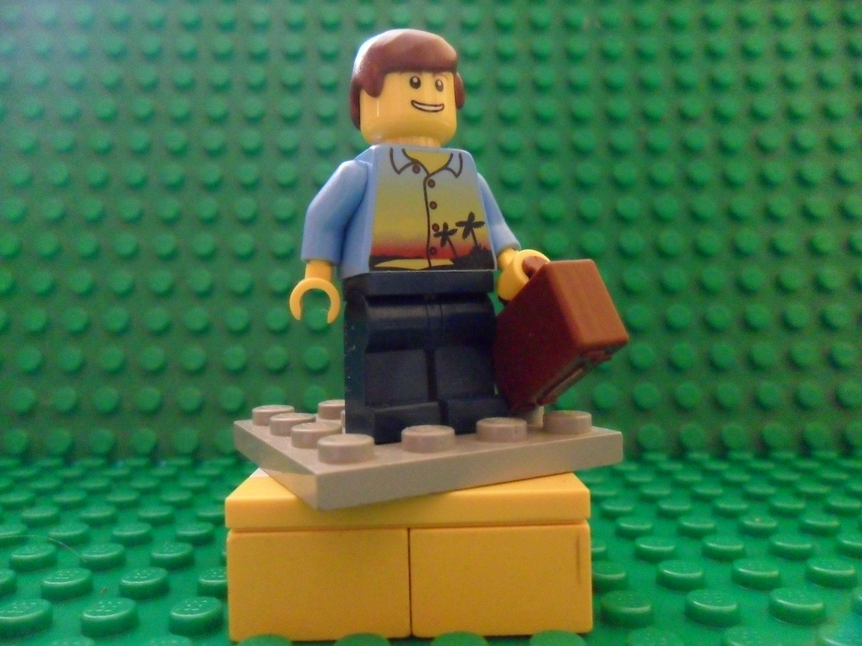 SAM_3503.JPG