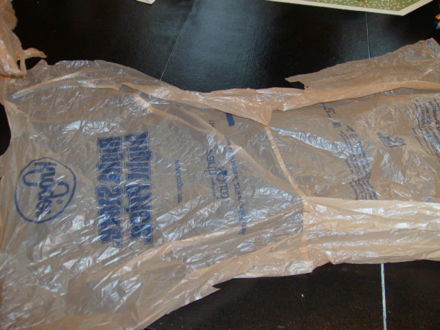 SANY7491.JPG