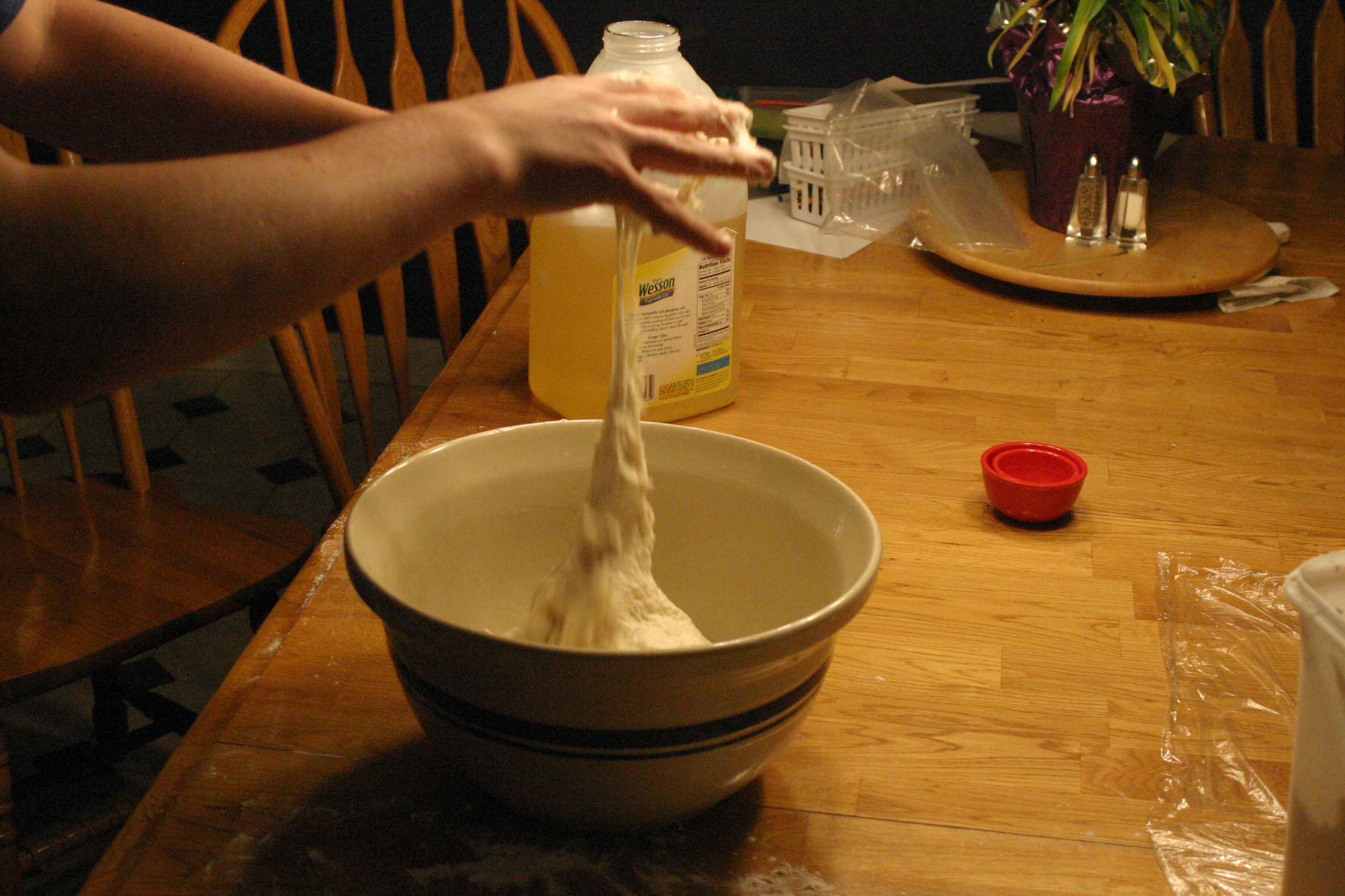 SD dough into oiled bowl.JPG