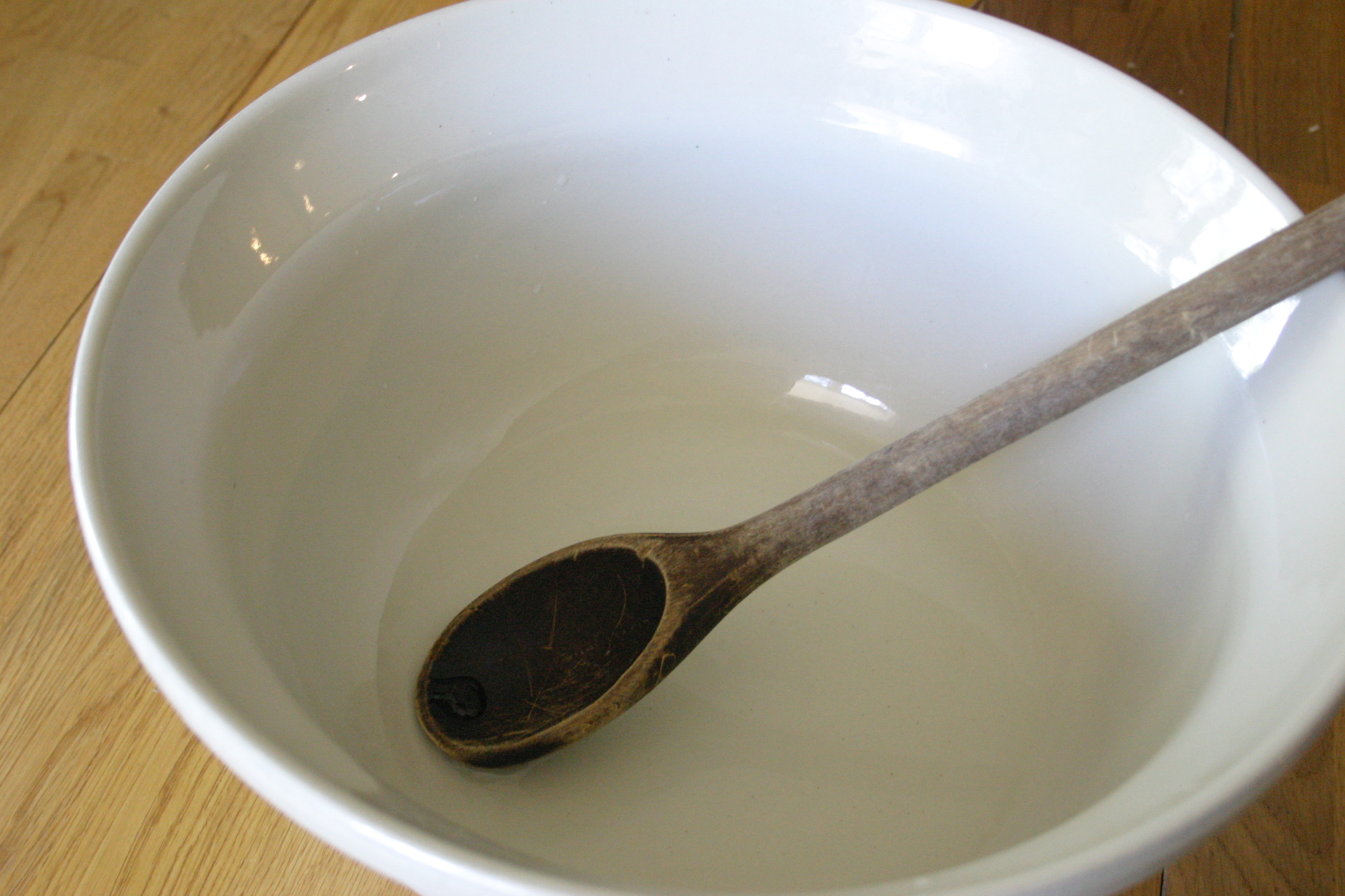 SD lg bowl with spoon.JPG