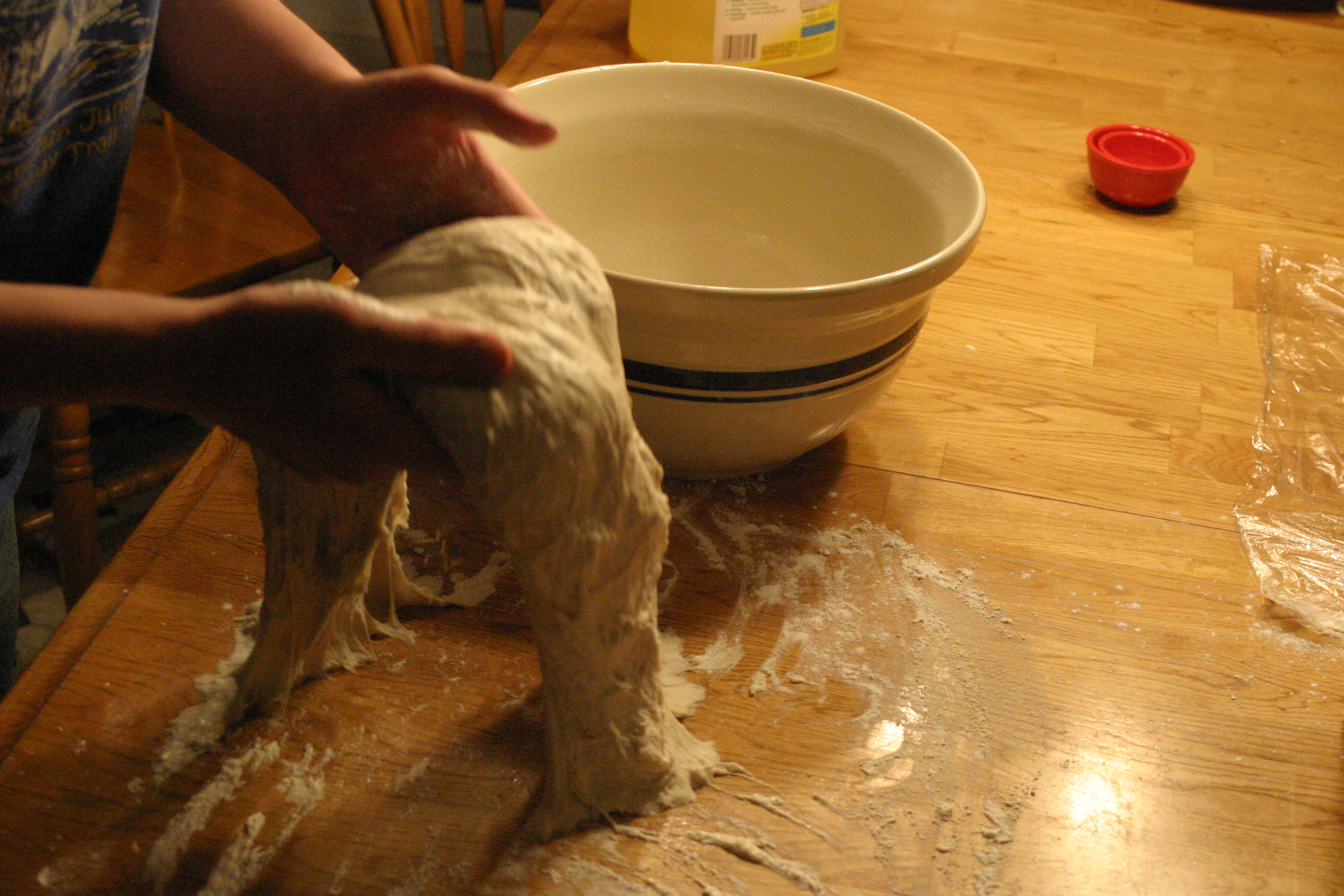 SD turnout dough into oiled bowl1.JPG