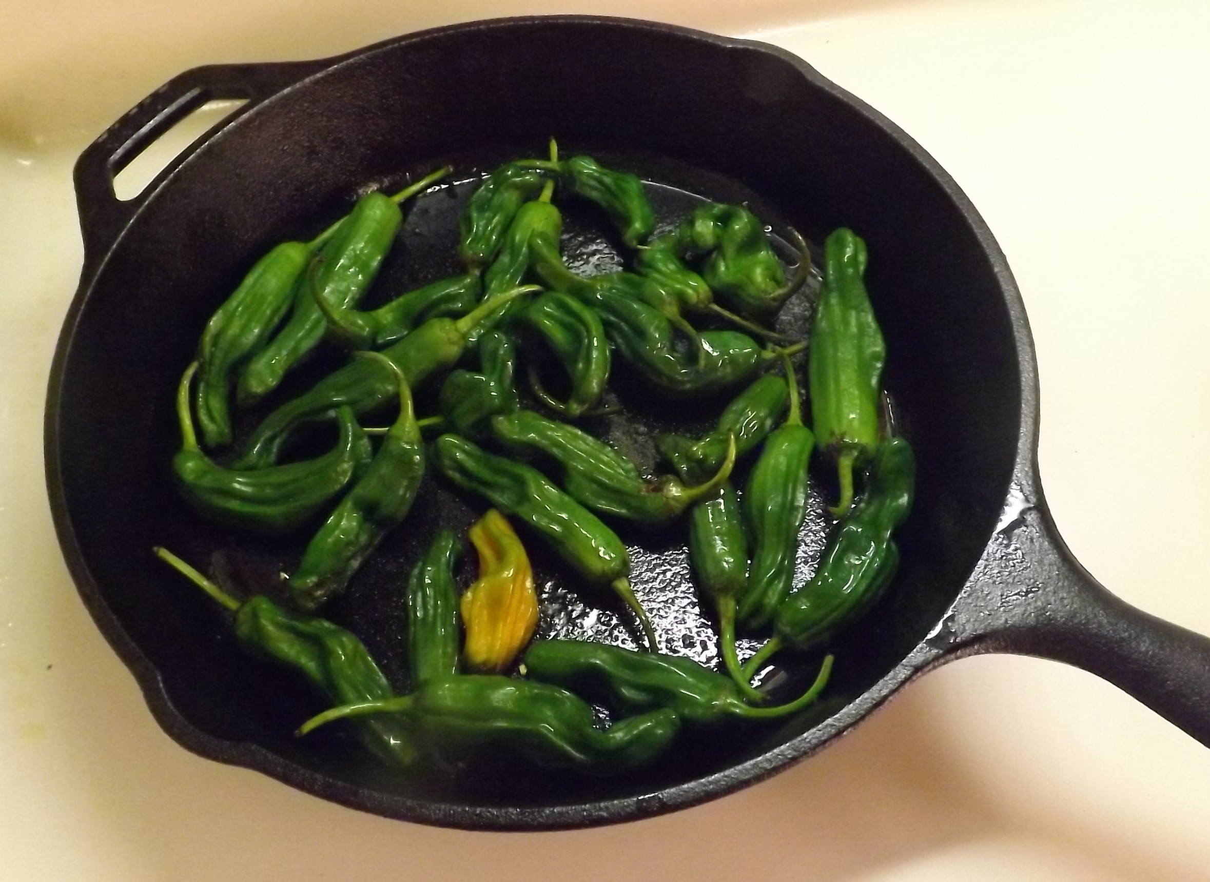 SHISHITO PEPPERS 006.JPG