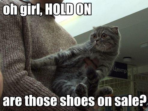 SHOES ON SALE CAT.jpg