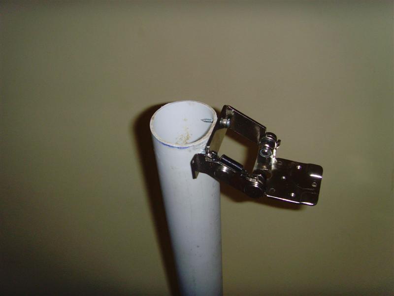 SNV37680 (Medium).JPG