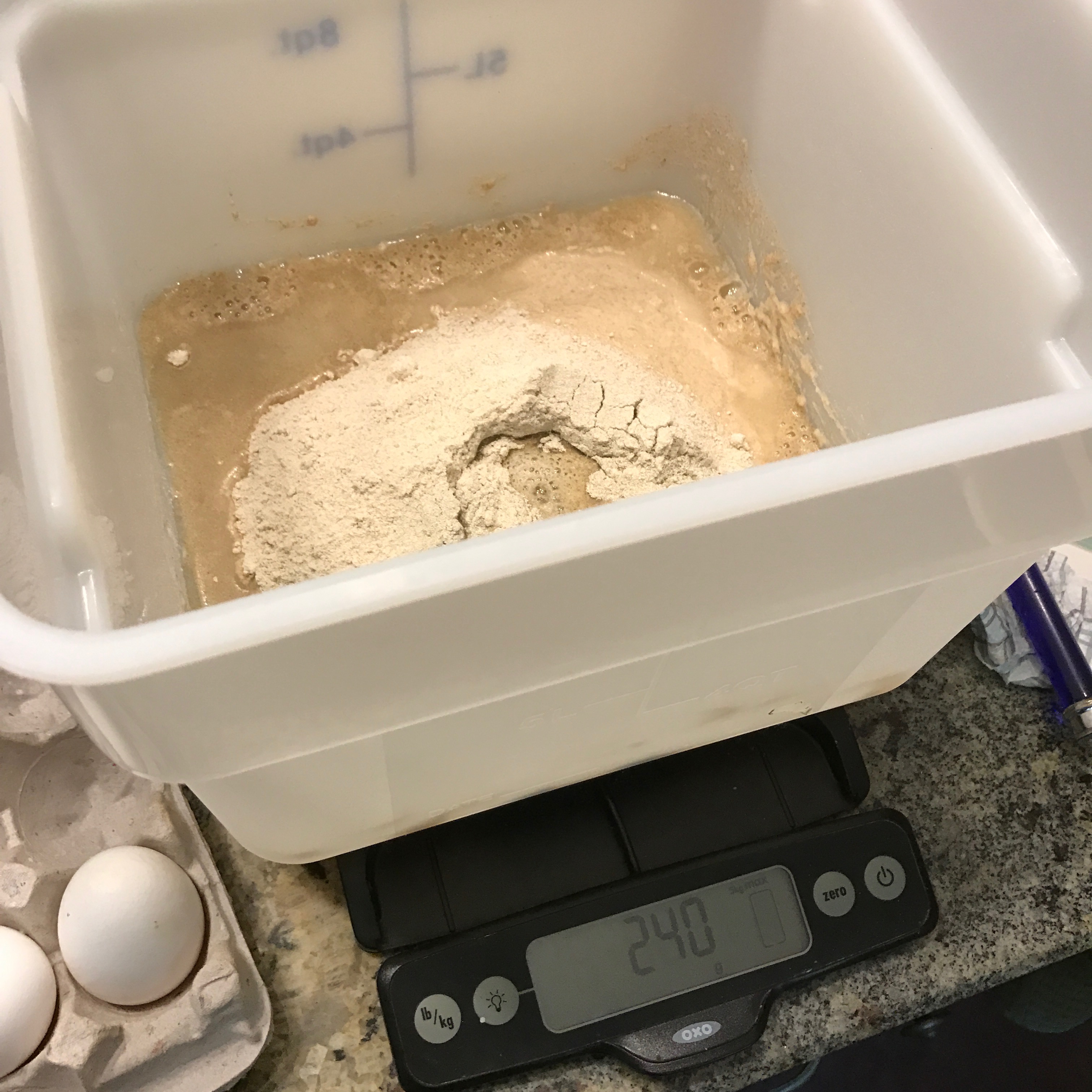 SOURDOUGH DAY 2.jpg