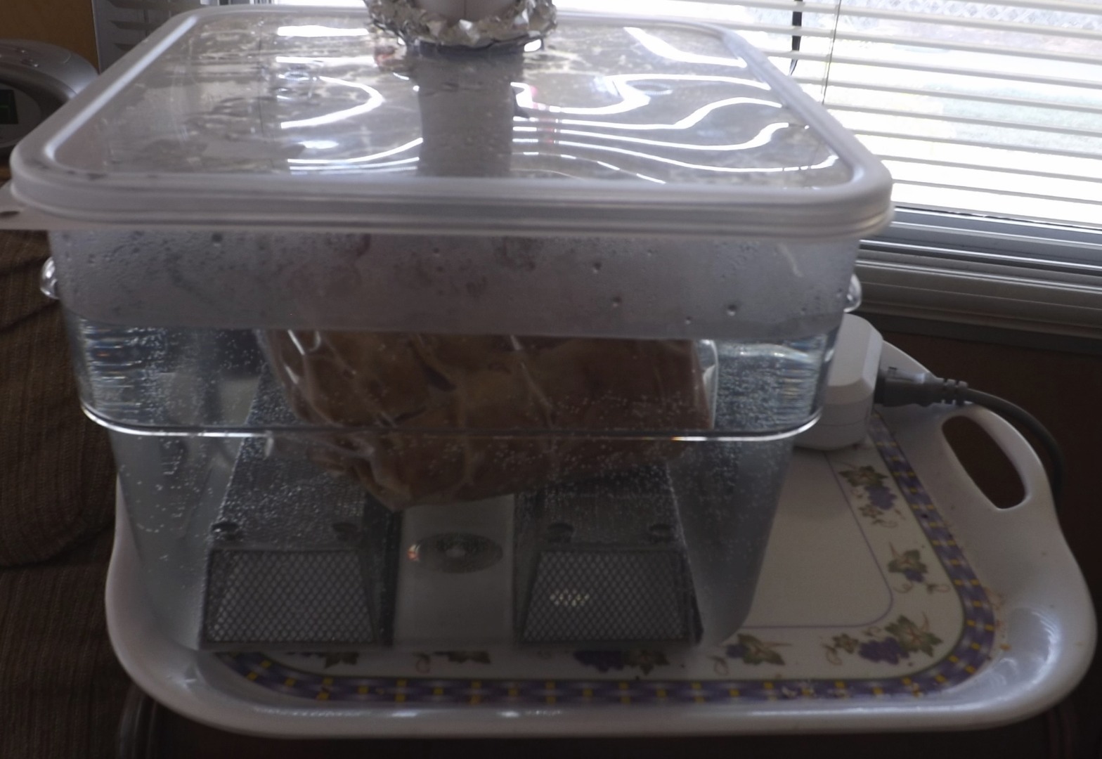 SOUS VIDE PORK ROAST 003.JPG