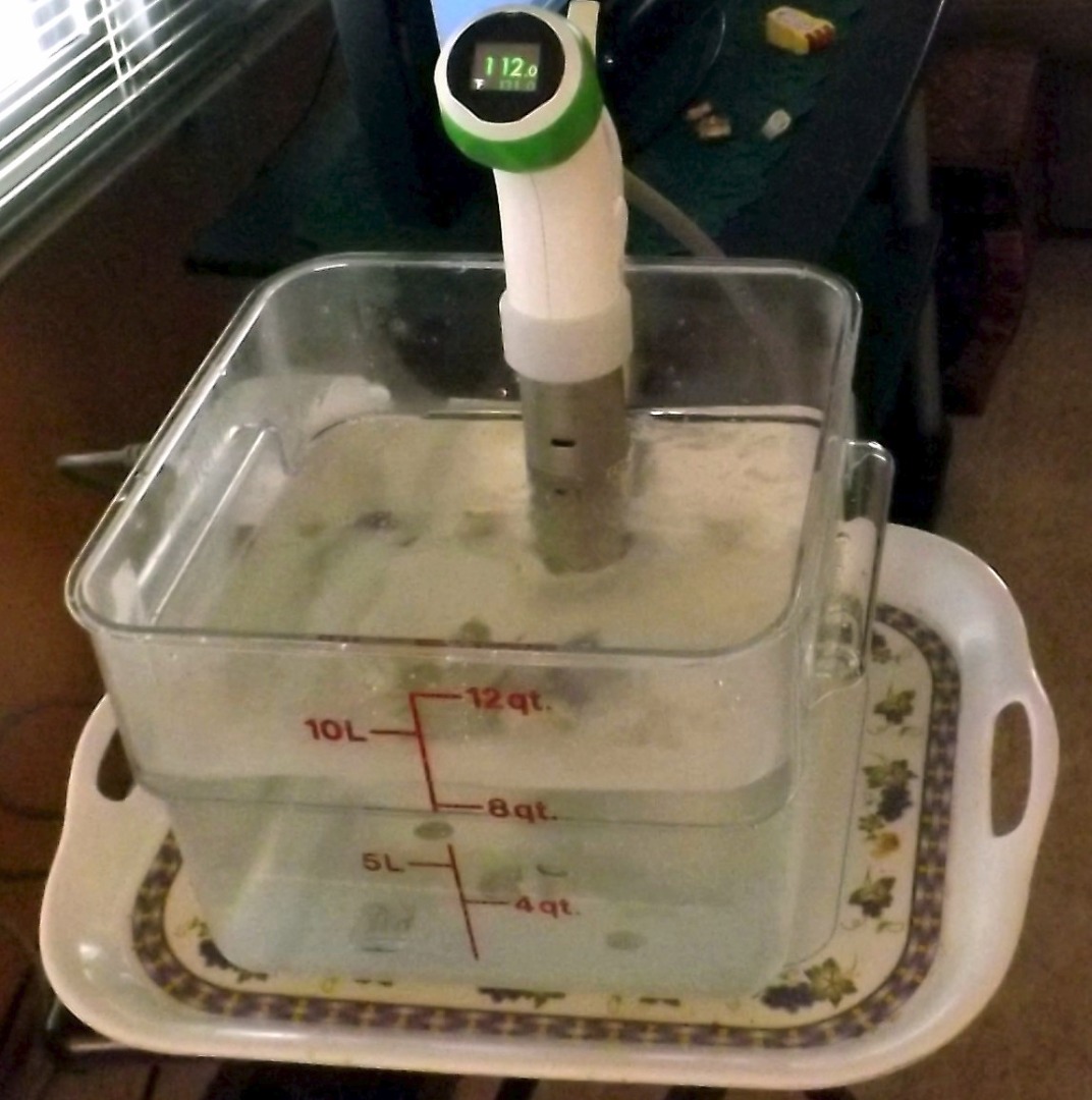 SOUS VIDE POT 001.JPG