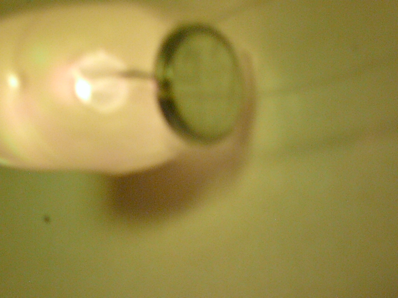 SUNP0042.JPG