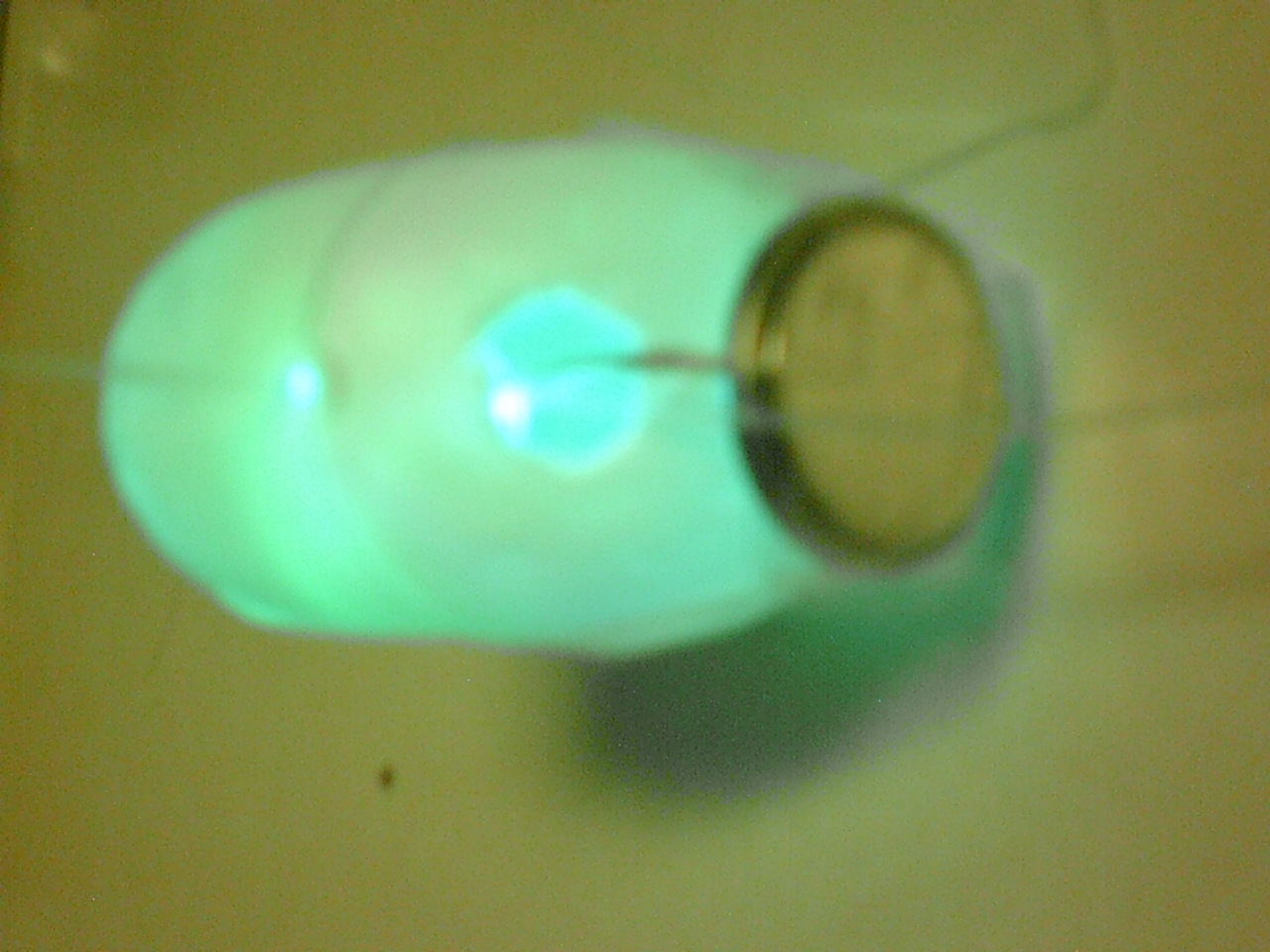 SUNP0043.JPG