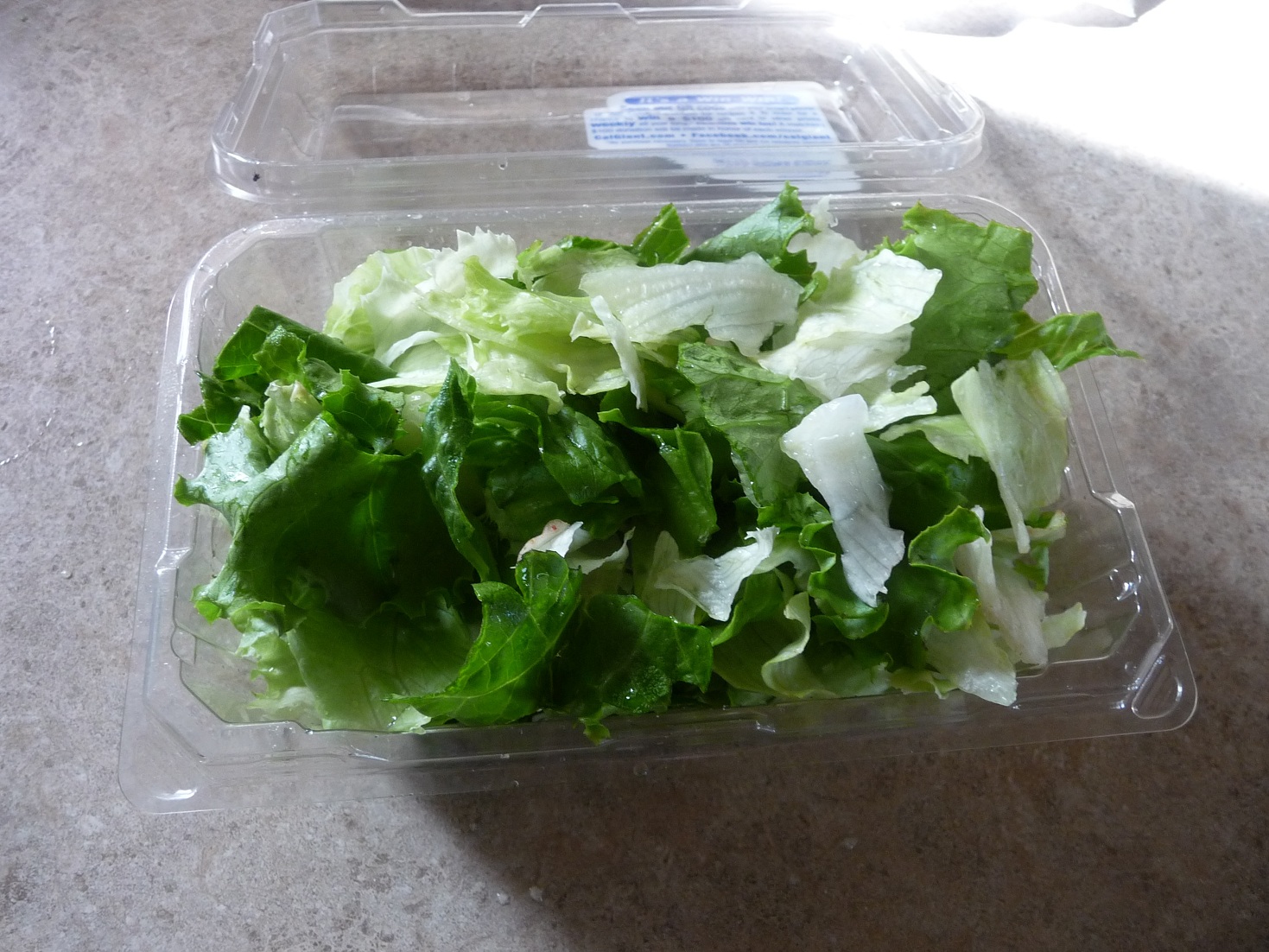 Salad9.jpg