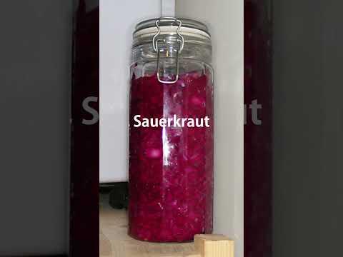 Sauerkraut! Time lapse