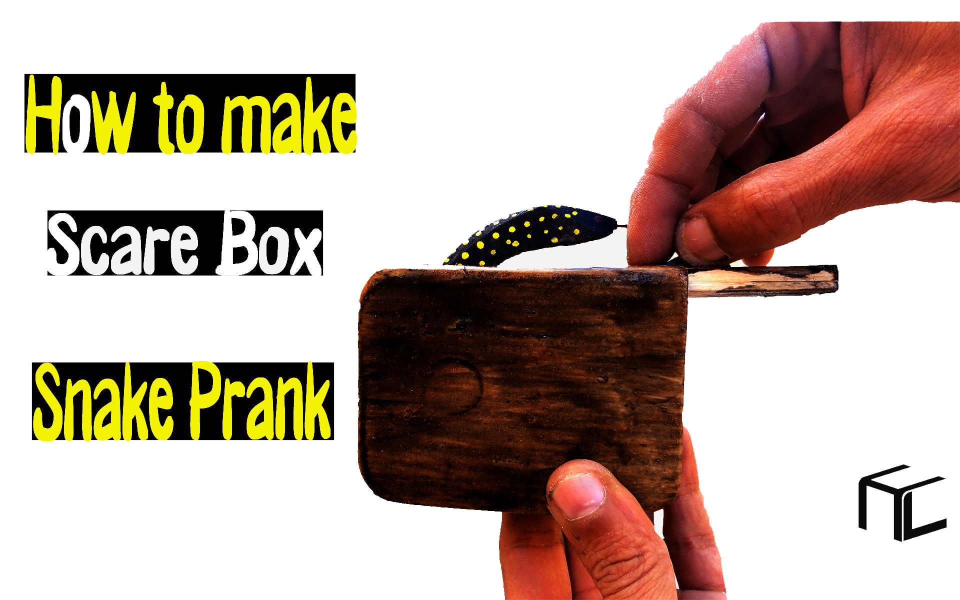 Scare Box Snake Prank.jpg