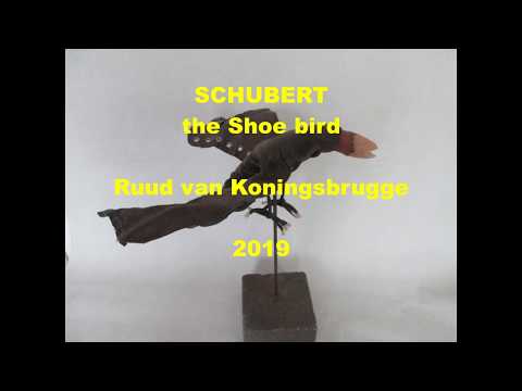 Schubert the Shoe bird