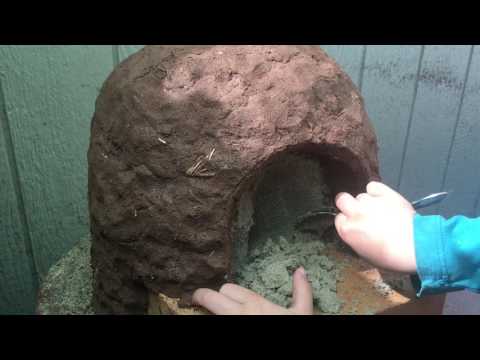 Scraping out the sand from my earth oven