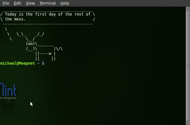 Screenshot-Michael's Terminal.png