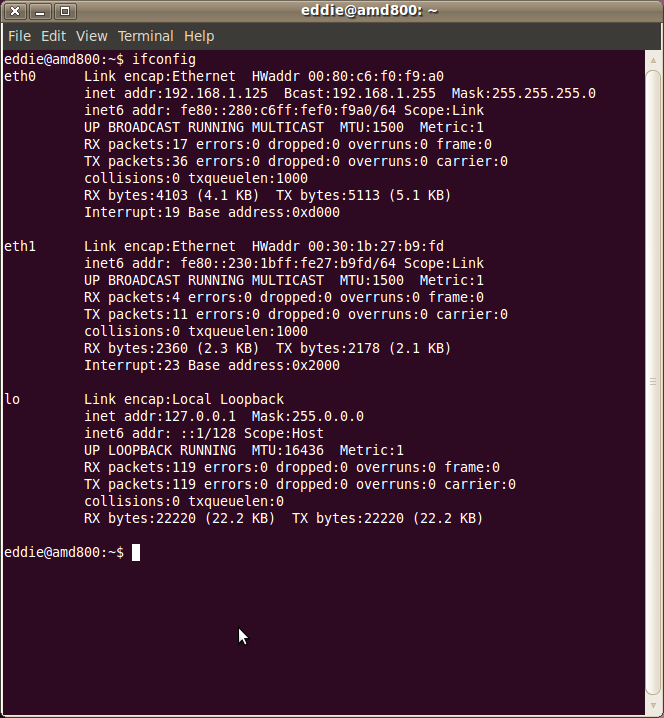 Screenshot-eddie@amd800: ~.png