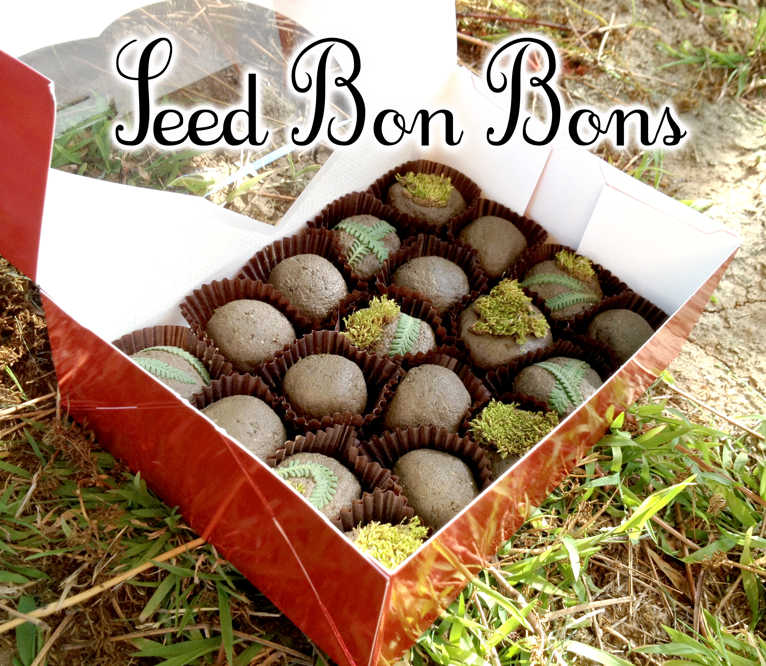 SeedBonBons.jpg