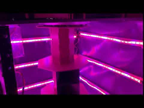 SeedShuttle Demo