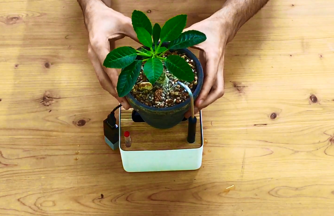 Self Watering Plant Stand - Misc 2.PNG