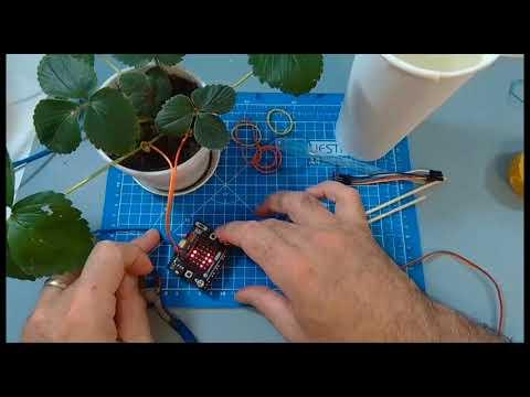 Self watering IoT Accessible plant