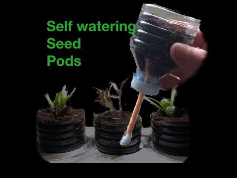 Self watering Seed Pods