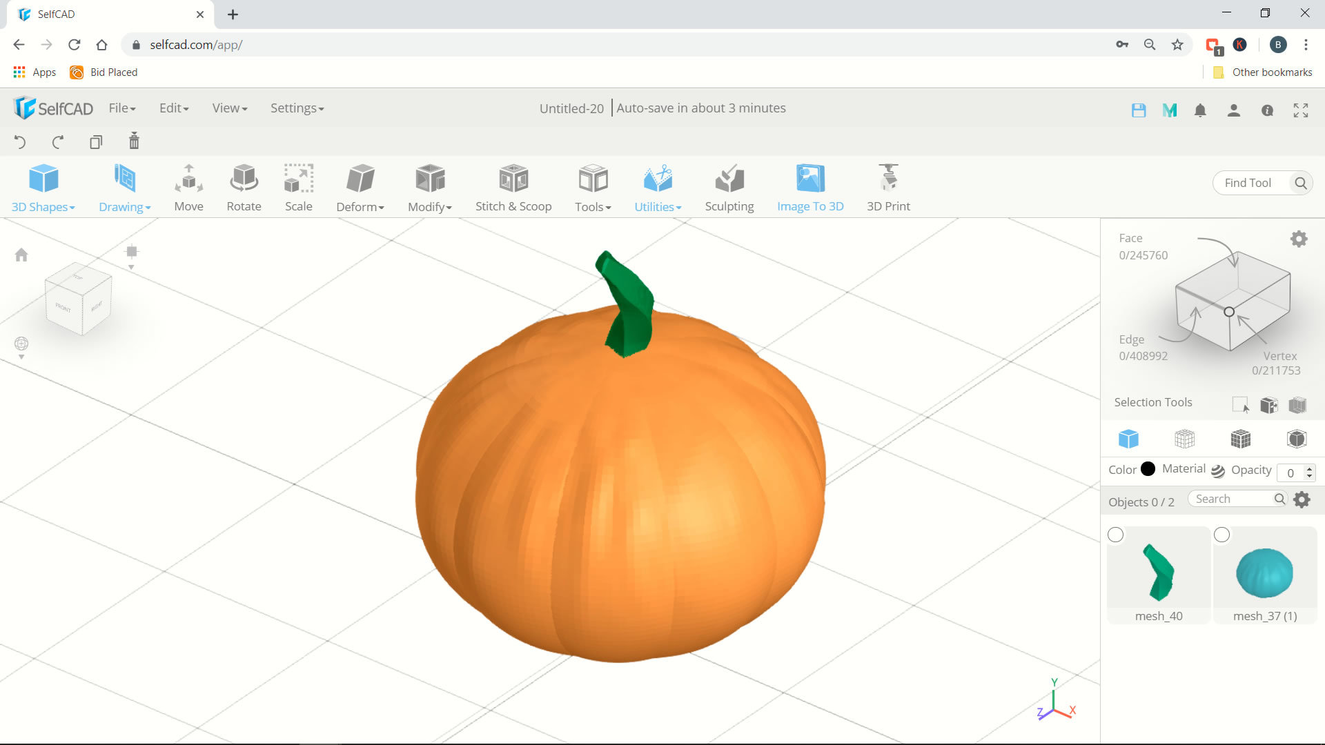 Selfcad 3d pumpkin.jpg