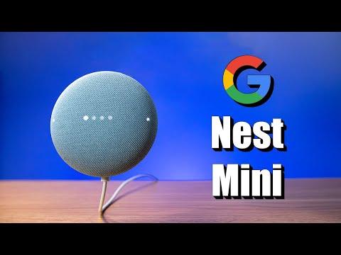 Setting Up the Google Nest Mini, New Features &amp;amp; World Wide Duo Calls