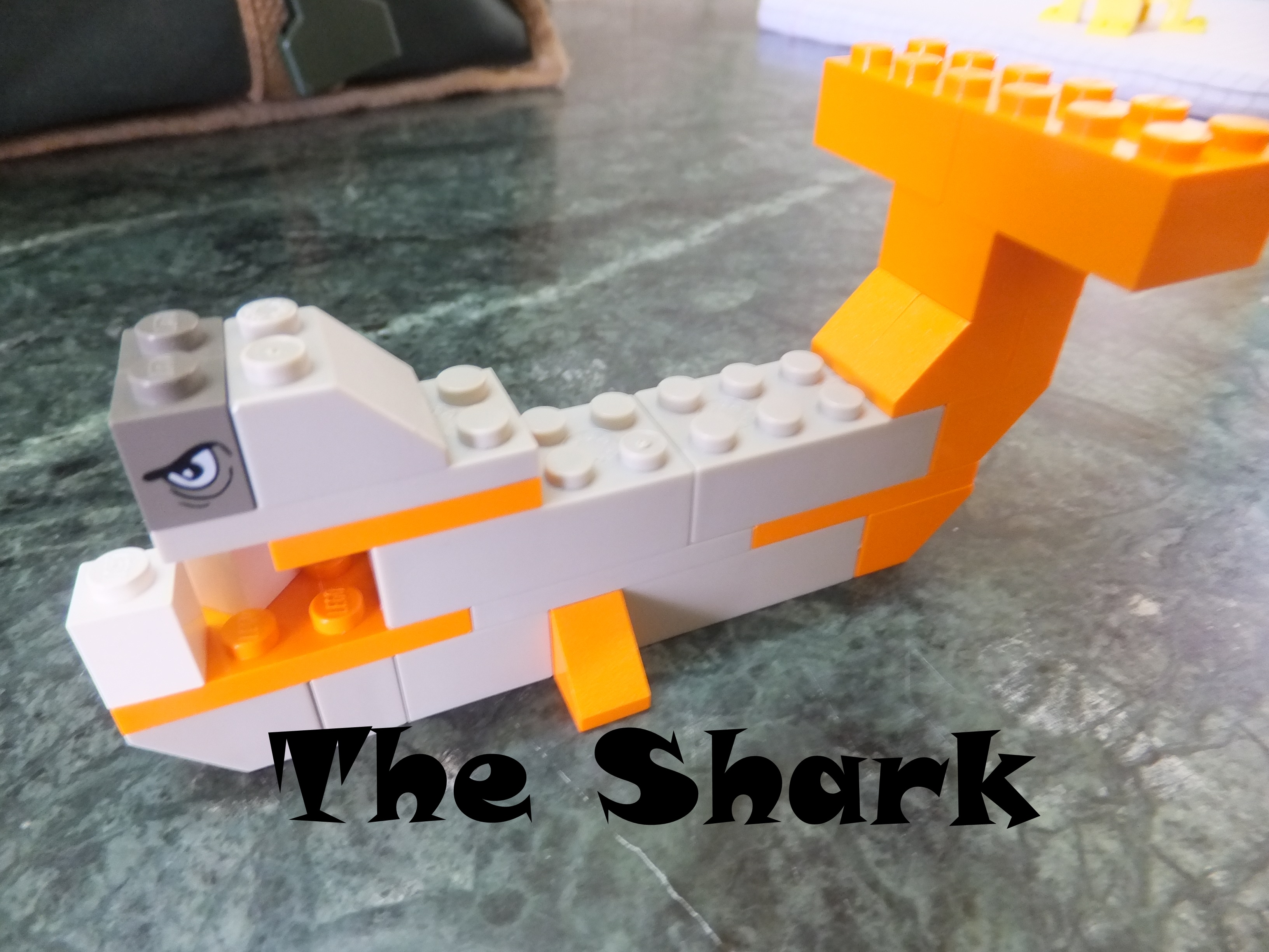 Shark Cover.JPG
