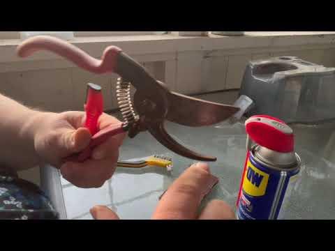 Sharpening Clippers