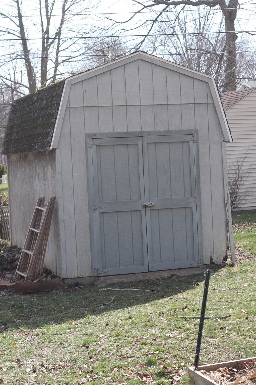 Shed (0).jpg